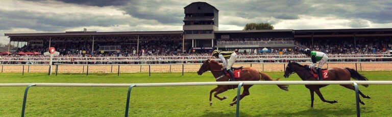 Going for Gold at Southwell Racecourse